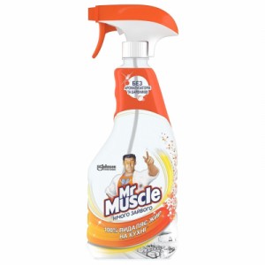Огляд Спрей для чищення кухні Mr Muscle Нічого зайвого 500 мл (5000204159486): характеристики, відгуки, ціни.