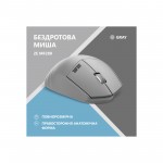 Огляд Мишка 2E MF280 Silent Wireless/Bluetooth Gray (2E-MF280WGR): характеристики, відгуки, ціни.