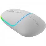 Огляд Мишка Canyon MW-22 Dual Band RGB Wireless Snow White (CNS-CMSW22SW): характеристики, відгуки, ціни.