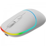 Огляд Мишка Canyon MW-22 Dual Band RGB Wireless Snow White (CNS-CMSW22SW): характеристики, відгуки, ціни.