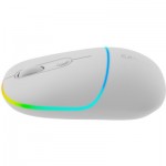 Огляд Мишка Canyon MW-22 Dual Band RGB Wireless Snow White (CNS-CMSW22SW): характеристики, відгуки, ціни.