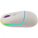 Огляд Мишка Canyon MW-22 Dual Band RGB Wireless Rice (CNS-CMSW22RC): характеристики, відгуки, ціни.