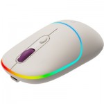 Огляд Мишка Canyon MW-22 Dual Band RGB Wireless Rice (CNS-CMSW22RC): характеристики, відгуки, ціни.