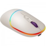 Огляд Мишка Canyon MW-22 Dual Band RGB Wireless Rice (CNS-CMSW22RC): характеристики, відгуки, ціни.