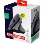 Огляд Мишка Trust Bayo II Ergonomic USB Black (25144): характеристики, відгуки, ціни.