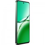 Огляд Мобільний телефон Oppo Reno12 FS 5G 12/512GB Black Green (OFCPH2637_BLACK): характеристики, відгуки, ціни.
