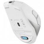 Огляд Мишка A4Tech FB45CS Air2 Bluetooth/Wireless Silver/White (4711421999373): характеристики, відгуки, ціни.