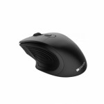 Огляд Мишка Canyon MW-15 Wireless Black (CNE-CMSW15B): характеристики, відгуки, ціни.