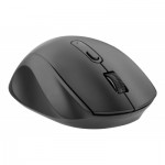 Огляд Мишка 2E MF240 Wireless Black (2E-MF240WB): характеристики, відгуки, ціни.