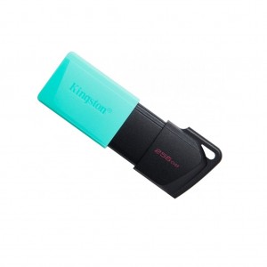Огляд USB флеш накопичувач Kingston 256GB DataTraveler Exodia M USB 3.2 (DTXM/256GB): характеристики, відгуки, ціни.