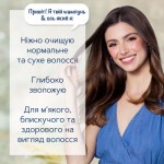 Огляд Шампунь Schauma Moisture & Shine для нормального та сухого волосся 400 мл (9000101704976): характеристики, відгуки, ціни.