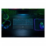 Огляд Клавіатура Razer Ornata V3 X USB RU Black (RZ03-04470800-R3R1): характеристики, відгуки, ціни.