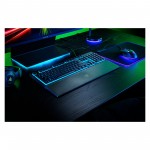 Огляд Клавіатура Razer Ornata V3 X USB RU Black (RZ03-04470800-R3R1): характеристики, відгуки, ціни.