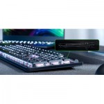 Огляд Клавіатура Razer DeathStalker V2 Red Switch USB UA Black (RZ03-04500100-R3M1): характеристики, відгуки, ціни.