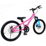 Огляд Дитячий велосипед RoyalBaby Chipmunk Explorer 20", Official UA, рожевий (CM20-3-pink): характеристики, відгуки, ціни.