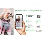 Огляд Нашийник для тварин WAUDOG Design з QR паспортом "Калина" S Ш 15 мм Д 26-35 см (чорний) (3603-0228-01): характеристики, відгуки, ціни.