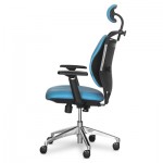 Огляд Офісне крісло Mealux Testa Duo Blue (Y-552 KBL Duo): характеристики, відгуки, ціни.