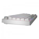 Огляд Клавіатура Hator Rockfall 2 Mecha TKL Authentic Edition Aurum Milky Way Silent USB White (HTK-531): характеристики, відгуки, ціни.