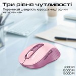 Огляд Мишка Promate Ken Wireless/Bluetooth Pink (ken.pink): характеристики, відгуки, ціни.