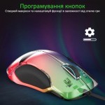 Огляд Мишка Vertux Phoenix USB Black (phoenix.black): характеристики, відгуки, ціни.