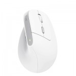 Огляд Мишка Trust Bayo II Ergonomic Wireless White (25398): характеристики, відгуки, ціни.