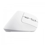 Огляд Мишка Trust Bayo II Ergonomic Wireless White (25398): характеристики, відгуки, ціни.