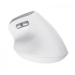 Огляд Мишка Trust Bayo II Ergonomic Wireless White (25398): характеристики, відгуки, ціни.