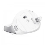 Огляд Мишка Trust Bayo II Ergonomic Wireless White (25398): характеристики, відгуки, ціни.