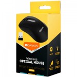 Огляд Мишка Canyon CNE-CMSW2 Wireless Black (CNE-CMSW2): характеристики, відгуки, ціни.