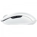 Огляд Мишка Razer Orochi V2 Wireless White (RZ01-03730400-R3G1): характеристики, відгуки, ціни.