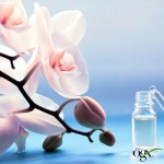 Огляд Кондиціонер для волосся OGX Orchid Oil для захисту кольору фарбованого волосся 385 мл (0022796972415): характеристики, відгуки, ціни.