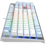 Огляд Клавіатура A4Tech FS100 RGB FS Switch USB Icy Blue (4711422004069): характеристики, відгуки, ціни.