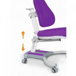 Огляд Дитяче крісло Evo-kids Omega G (Y-220 G): характеристики, відгуки, ціни.