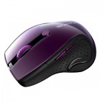 Огляд Мишка Canyon CNS-CMSW01P Wireless Purple/Black (CNS-CMSW01P): характеристики, відгуки, ціни.