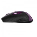 Огляд Мишка Canyon CNS-CMSW01P Wireless Purple/Black (CNS-CMSW01P): характеристики, відгуки, ціни.