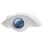 Огляд Мишка Logitech Ergo M575 for Business Wireless Trackball Off-White (910-006438): характеристики, відгуки, ціни.