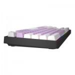 Огляд Клавіатура Hator Rockfall 2 Mecha Signature Edition USB Black/Lilac/White (HTK-520-BLW): характеристики, відгуки, ціни.