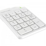 Огляд Клавіатура A4Tech FGK21C Wireless White (4711421994057): характеристики, відгуки, ціни.